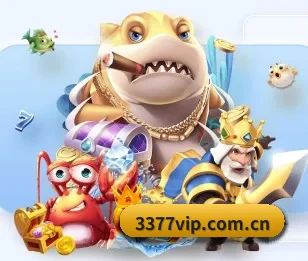 3377体育的故事
